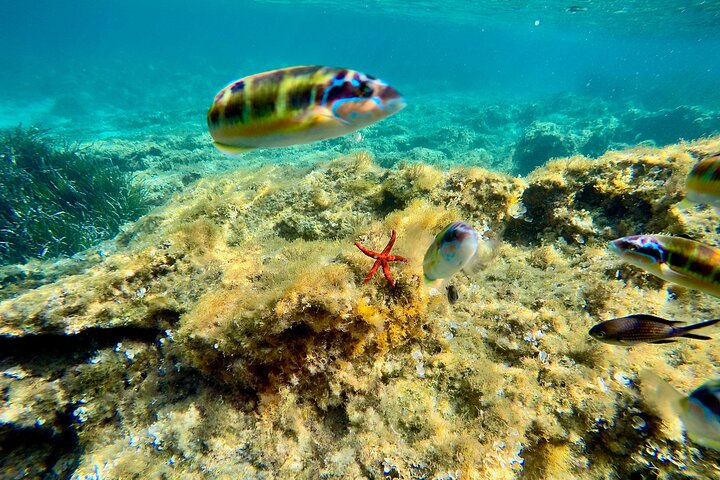 Exclusive tour Tropea capo Vaticano Coast of the Gods