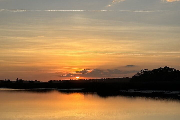 Private Folly Beach Dolphin Watching and Shelling tour