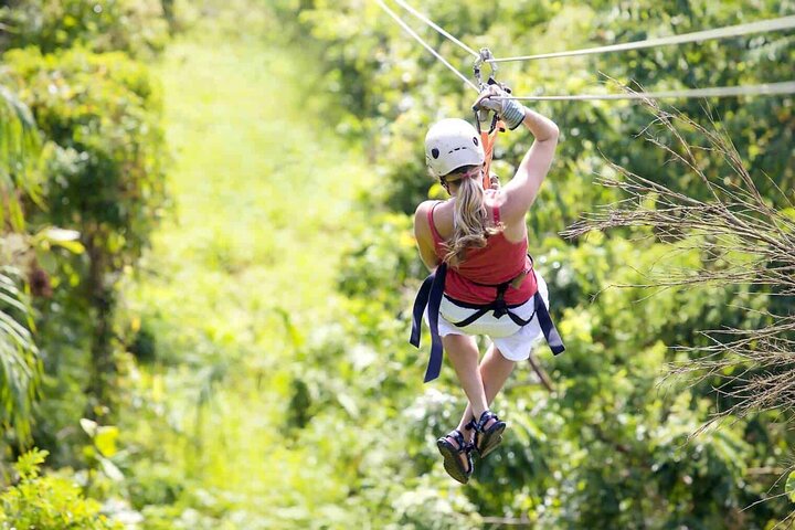 Roatan Jungle Top Zip Line, Wildlife Eco-Park and Snorkel