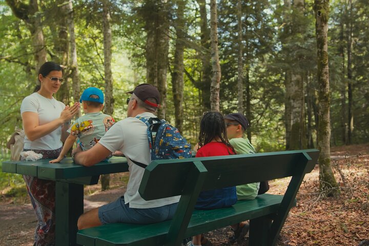 Durmitor National Park hiking tour - easy to moderate