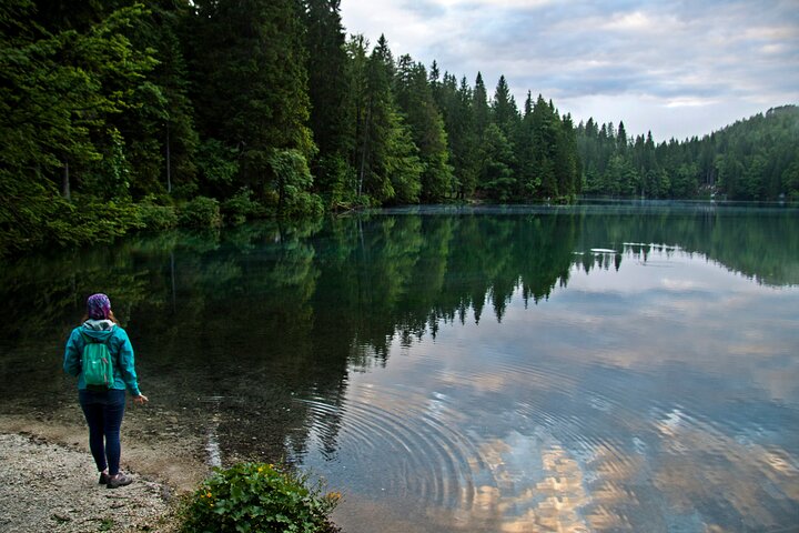 Montenegro: Black Lake and Tara Canyon Day Trip