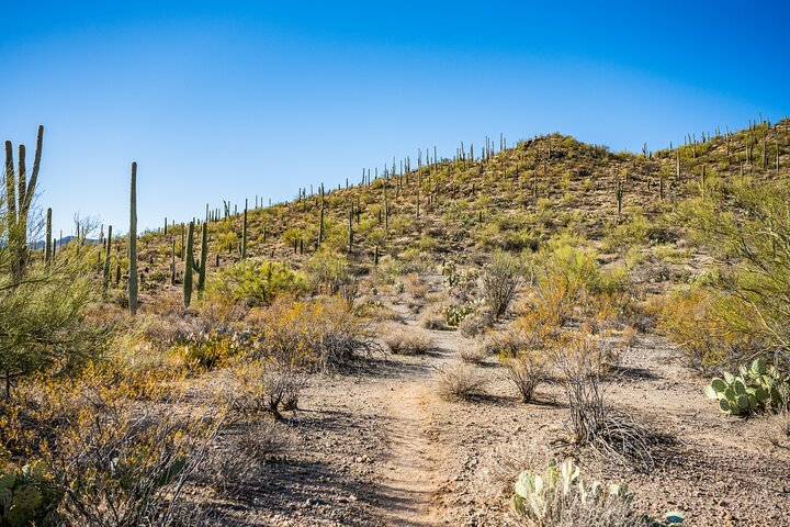 Ultimate Arizona Self-Guided Driving and Walking Tour Bundle