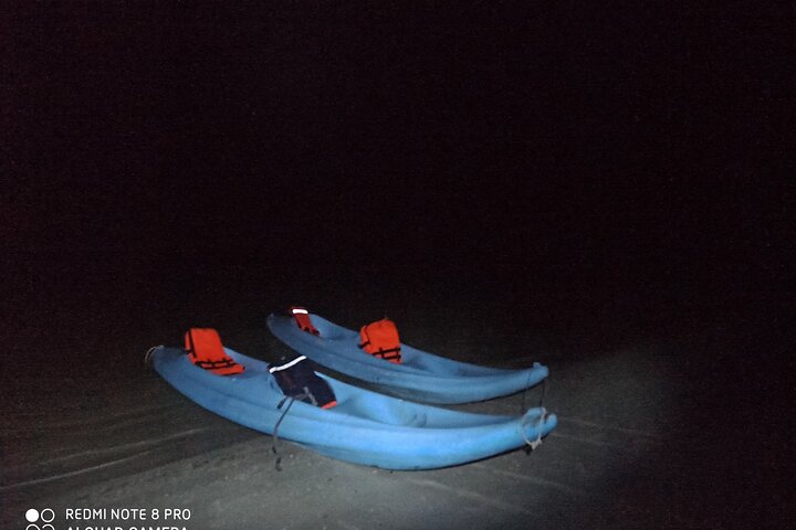 Bioluminescence Tour in Kayak in Holbox Island