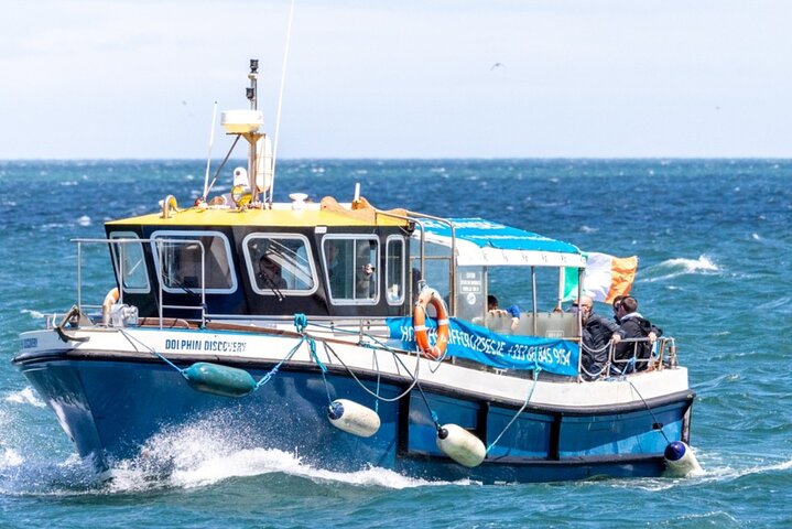 Ireland's Eye and Howth Coastal Boat Tour