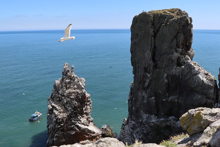 Ireland's Eye and Howth Coastal Boat Tour