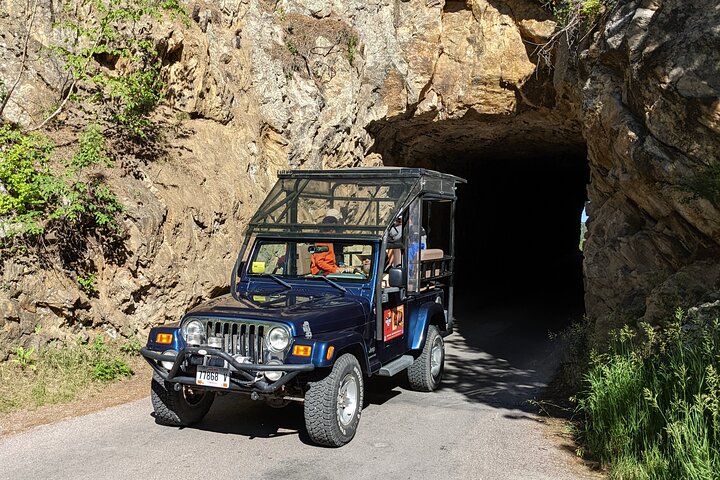 The Only Full Day - Jeep Bison Safari - W/ Lakeside Picnic Lunch