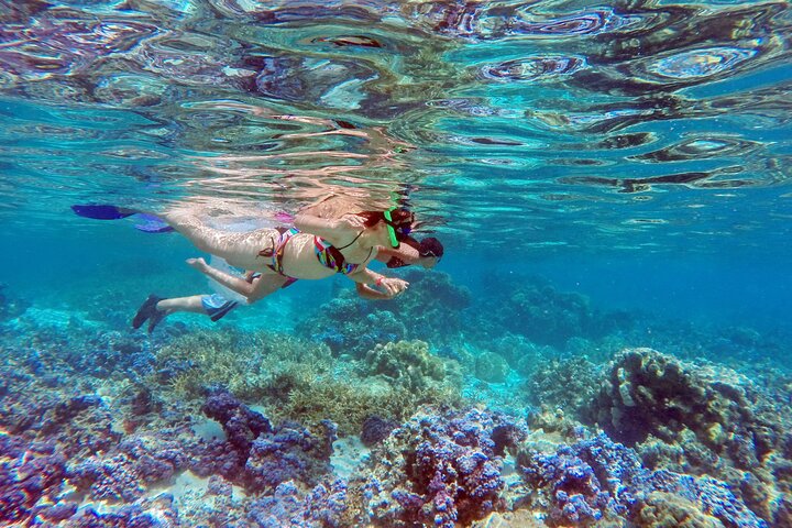 Extra Tahaa Island Boat and Full Day Tour