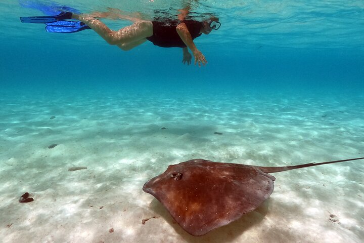 Extra Tahaa Island Boat and Full Day Tour