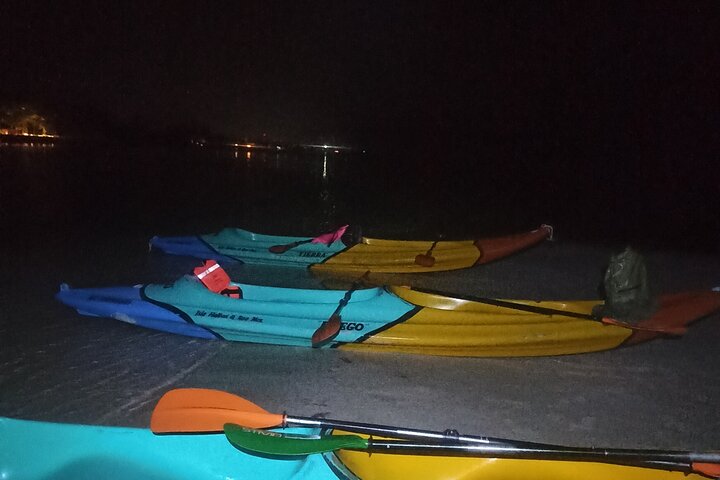 Bioluminescence Tour in Kayak in Holbox Island