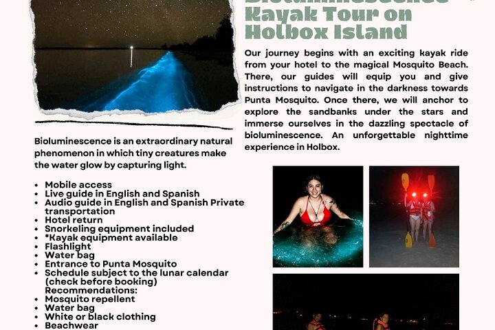 Bioluminescence Tour in Kayak in Holbox Island
