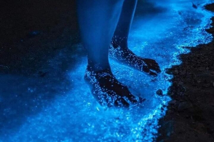 Bioluminescence Tour in Kayak in Holbox Island