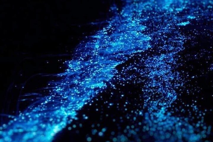 Bioluminescence Tour in Kayak in Holbox Island