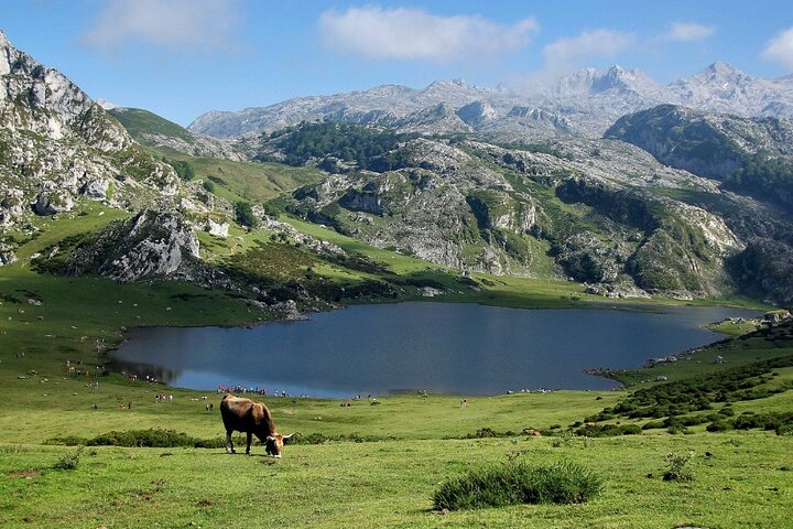 Covadonga Lakes, Sanctuary and Cangas de Onís from Santander