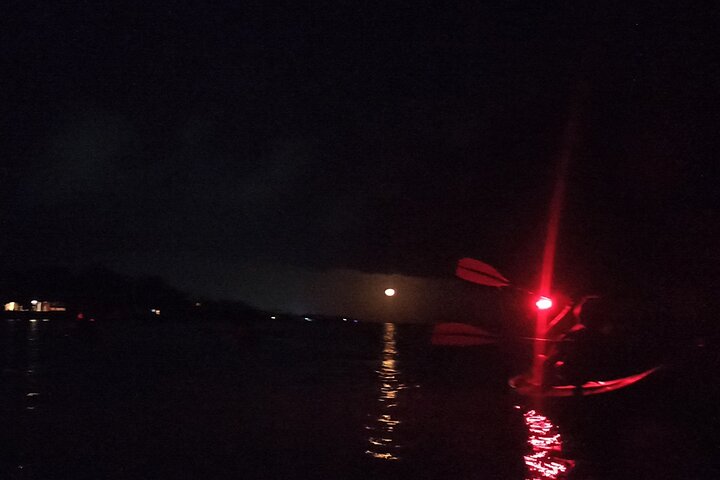 Bioluminescence Tour in Kayak in Holbox Island