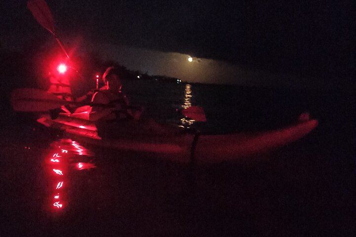 Bioluminescence Tour in Kayak in Holbox Island