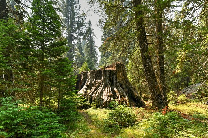 Kings Canyon National Park Self-Guided Audio Tour