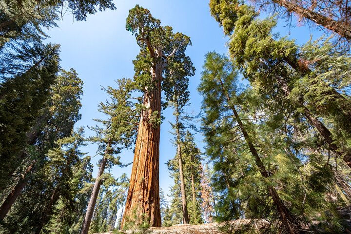 Kings Canyon National Park Self-Guided Audio Tour