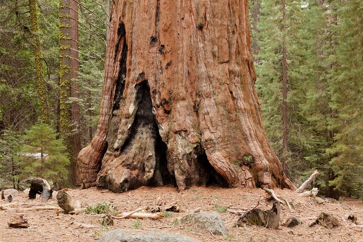 Kings Canyon National Park Self-Guided Audio Tour