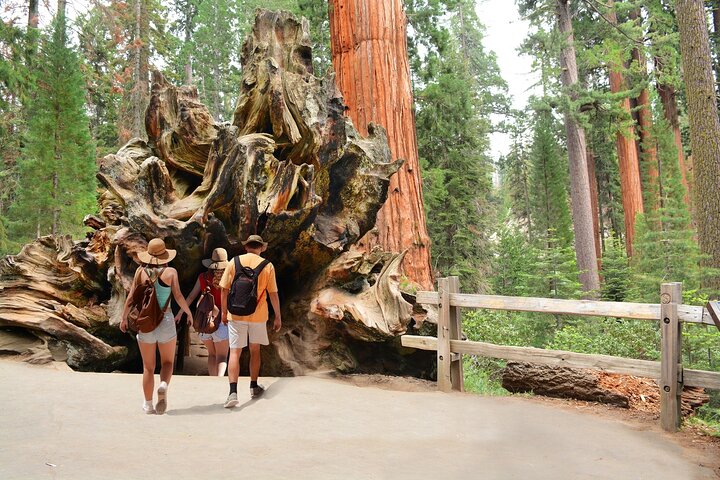 Kings Canyon National Park Self-Guided Audio Tour