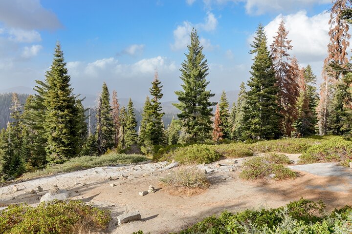 Kings Canyon National Park Self-Guided Audio Tour