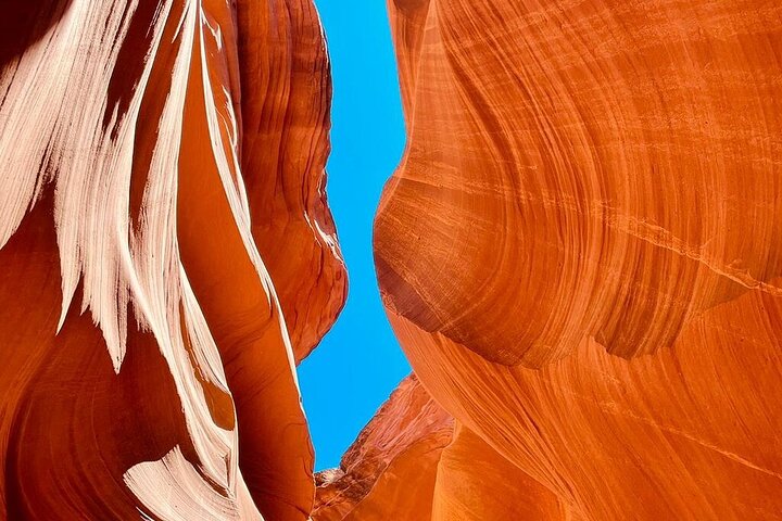 SF to Yellowstone,Grand Teton,Antelope Canyon&Vegas 7-Day Tour