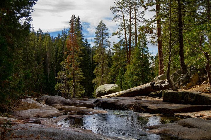 Sequoia National Park Self-Guided Audio Tour