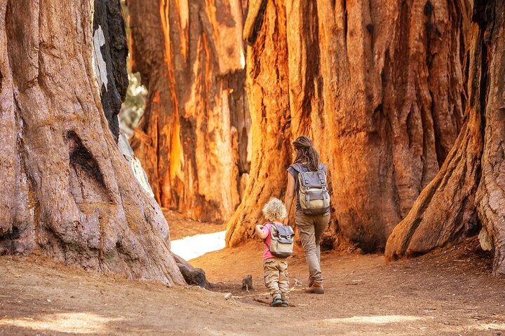 Sequoia National Park Self-Guided Audio Tour