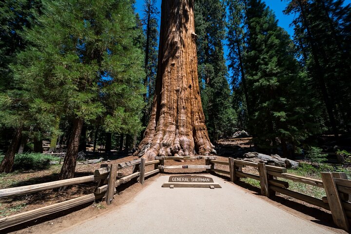 Sequoia National Park Self-Guided Audio Tour