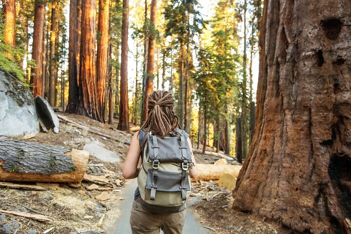 Sequoia National Park Self-Guided Audio Tour