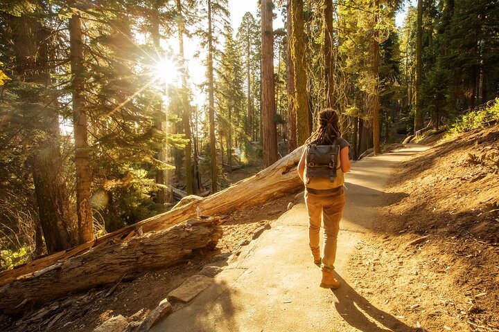 Sequoia National Park Self-Guided Audio Tour