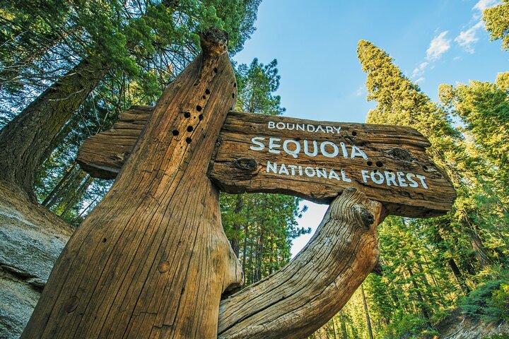 Sequoia National Park Self-Guided Audio Tour