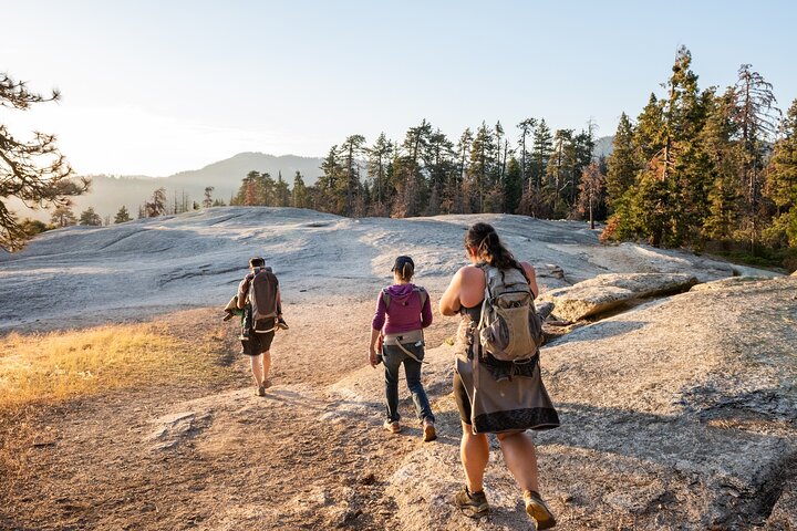Sequoia National Park Self-Guided Audio Tour