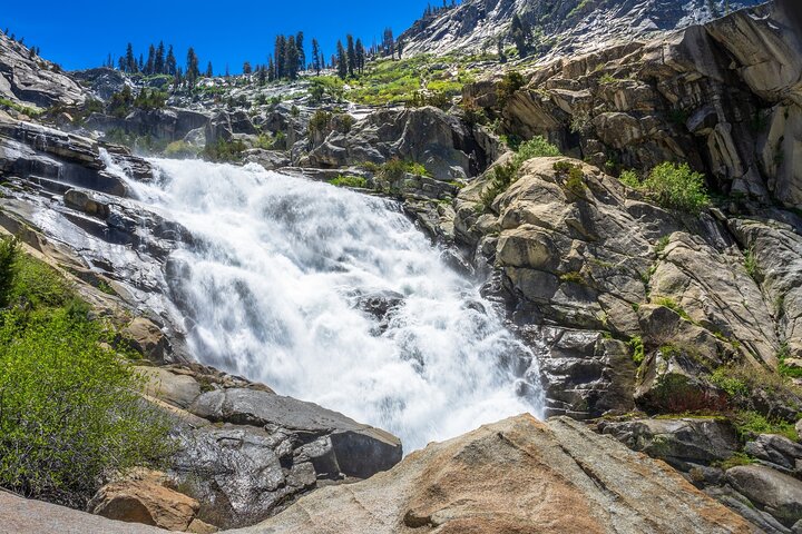 Sequoia National Park Self-Guided Audio Tour