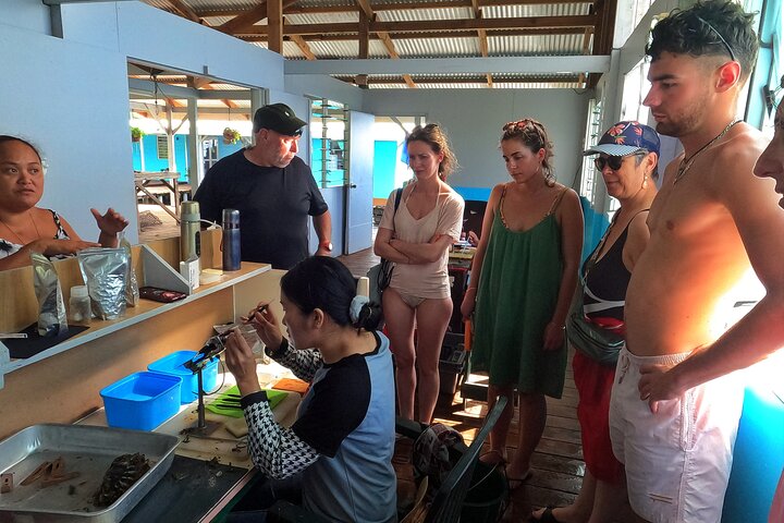 Extra Tahaa Island Boat and Full Day Tour