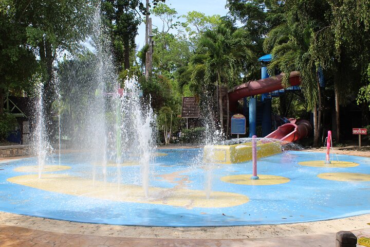 Dunn's River Park & Blue Hole Waterfall Combo from Montego Bay