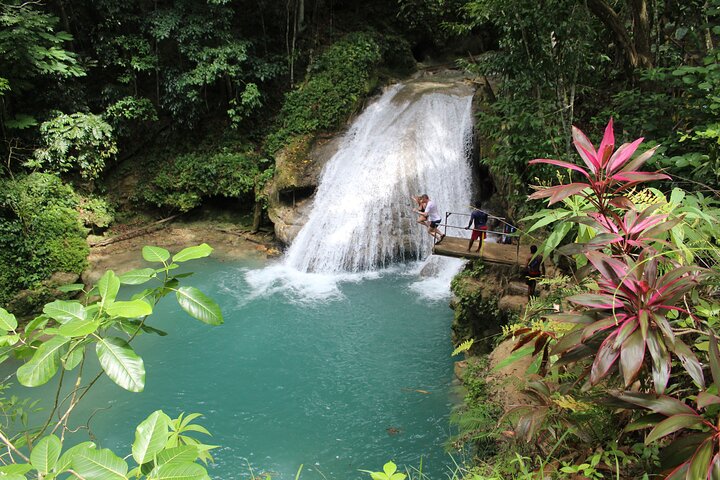 Dunn's River Park & Blue Hole Waterfall Combo from Montego Bay