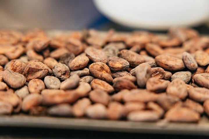 Brussels: Bean-to-Bar Belgian Chocolate Workshop & Tastings