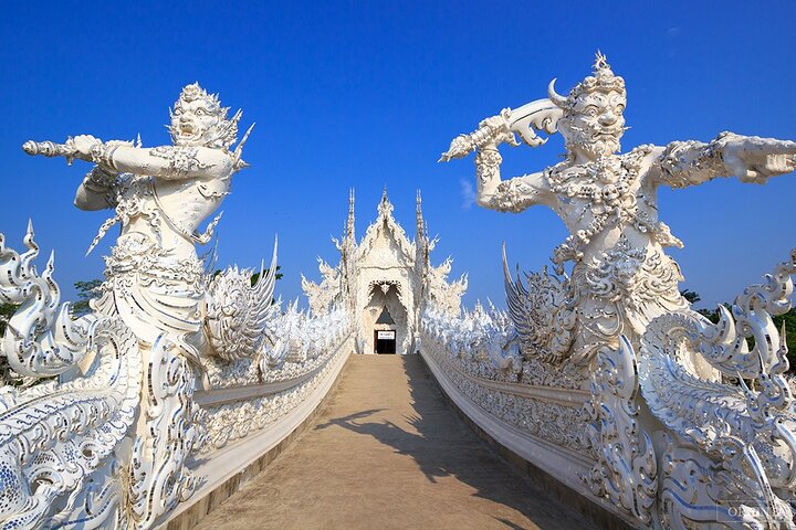 From Chiang Rai: 3 Temples, Golden Triangle Tour, Tea Plantation
