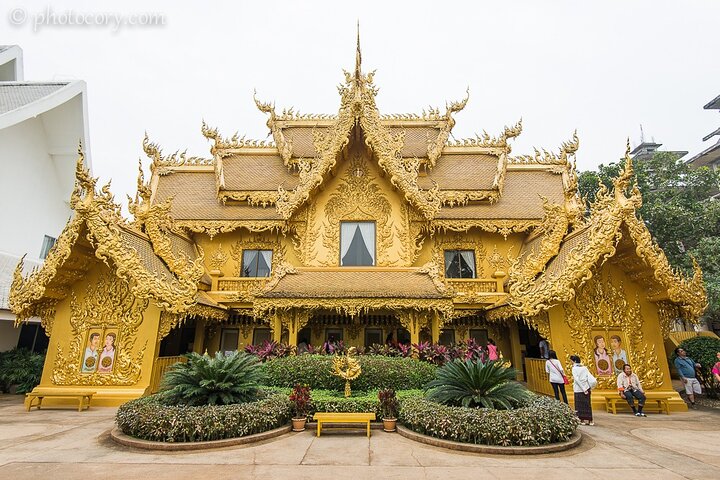 From Chiang Rai: 3 Temples, Golden Triangle Tour, Tea Plantation