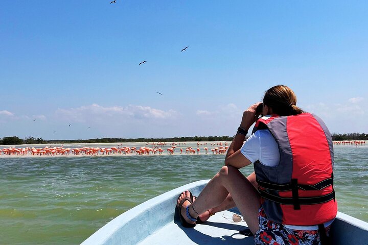 Las Coloradas, Río Lagartos and Playa Cancunito Tour from Mérida