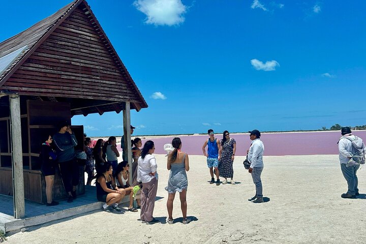 Las Coloradas, Río Lagartos and Playa Cancunito Tour from Mérida