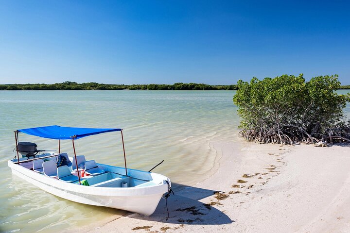 Las Coloradas, Río Lagartos and Playa Cancunito Tour from Mérida