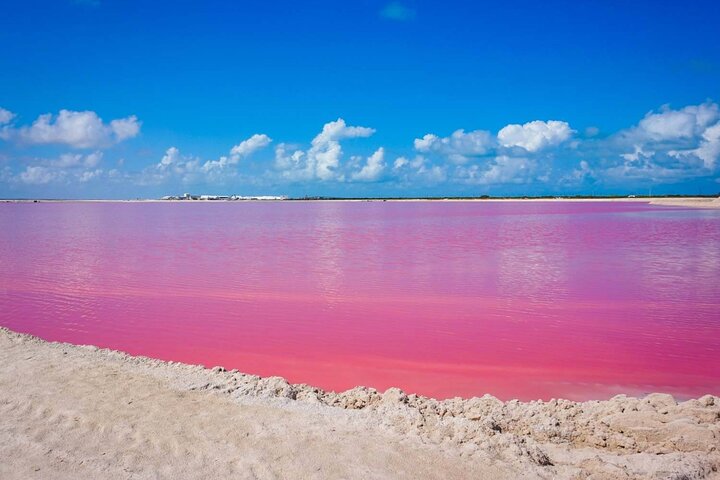 Las Coloradas, Río Lagartos and Playa Cancunito Tour from Mérida