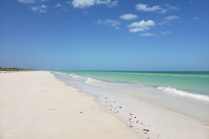 Las Coloradas, Río Lagartos and Playa Cancunito Tour from Mérida