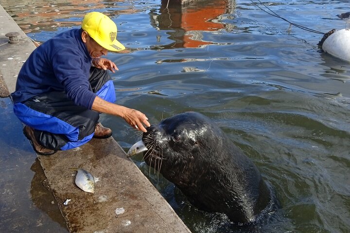 Private Have It Your Way Tour in Punta Del Este