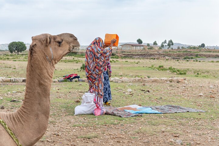 7 Days Private Eritrea Tour