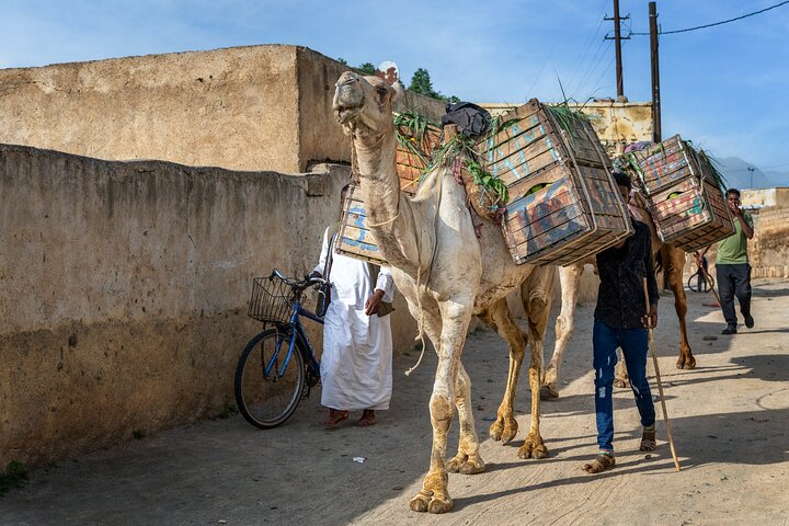 7 Days Private Eritrea Tour