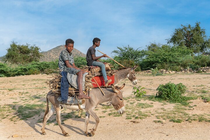 8 Days in Eritrea Asmara Ancient Sites and Red Sea Paradise