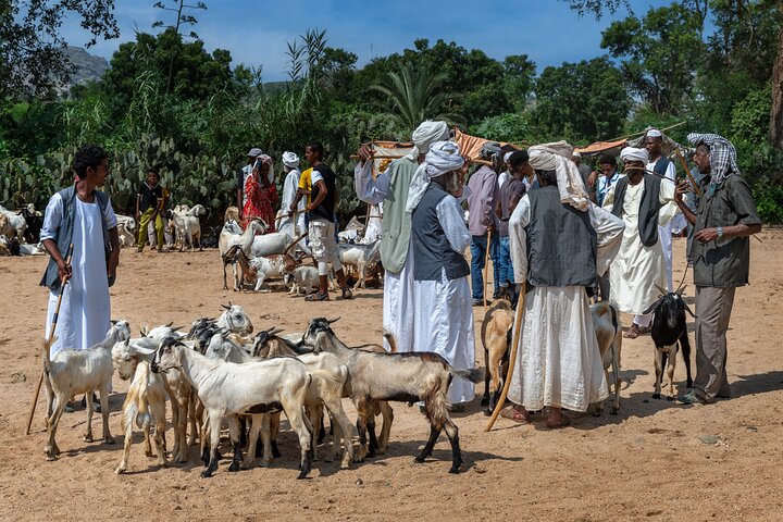 7 Days Private Eritrea Tour