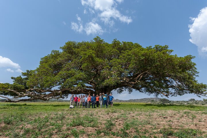 7 Days Private Eritrea Tour
